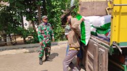 Tingkatkan Ketahanan Pangan Nasional, Koramil Wonomerto Dampingi Penyerahan Bantuan Bibit Jagung Kepada Kelompok Tani