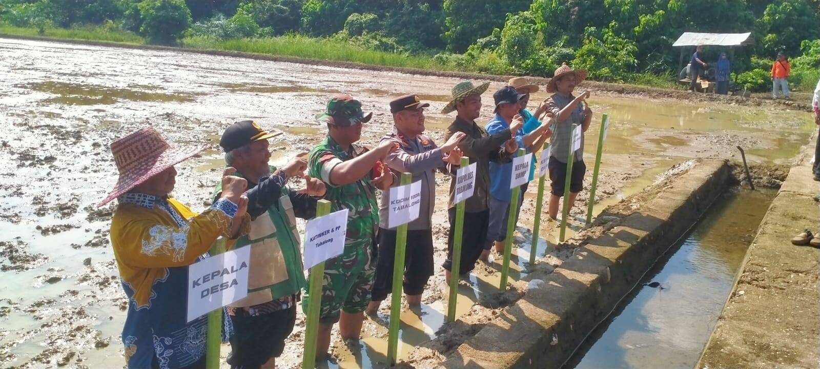 Babinsa Koramil 1008-02/Haruai-Upau-Bintang Ara Hadiri Tanam Perdana Padi PM-AAS di Upau