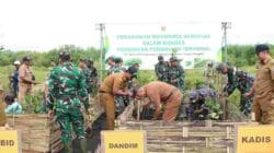 Penguatan Pembinaan Teritorial, Dandim Pimpin Penanaman Mangrove Serentak Di Wilayah Pesisir