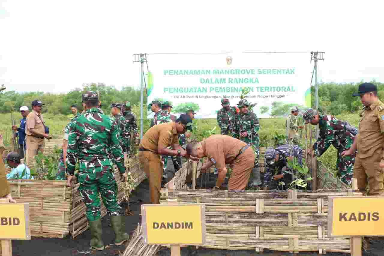 Penguatan Pembinaan Teritorial, Dandim Pimpin Penanaman Mangrove Serentak Di Wilayah Pesisir
