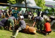 Semangat Berbagi di Idul Adha, Kodim Bojonegoro Salurkan Daging Kurban