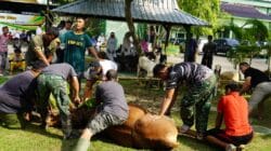 Semangat Berbagi di Idul Adha, Kodim Bojonegoro Salurkan Daging Kurban