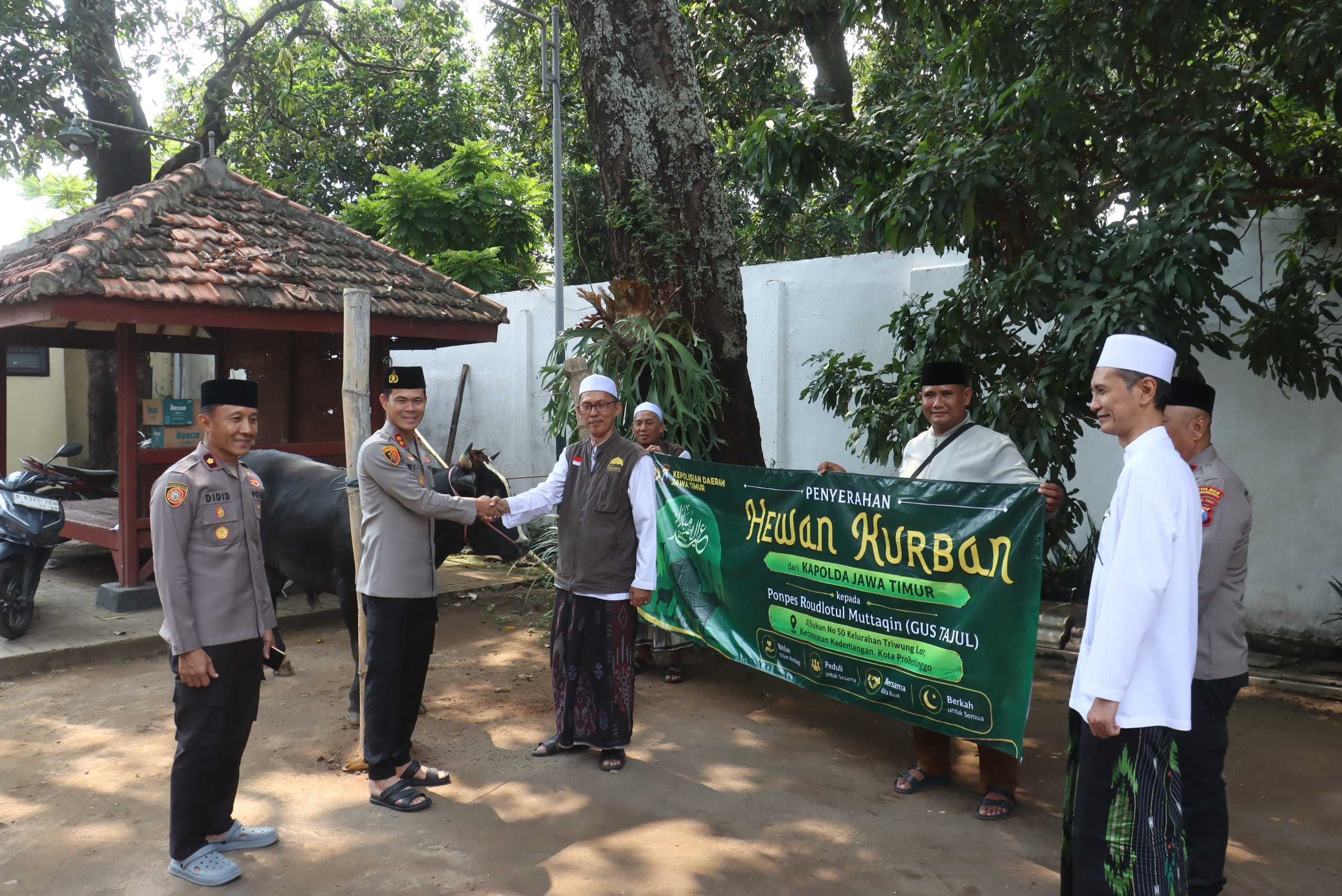 Perkuat Silaturahmi dengan Umat, Polres Probolinggo Kota Tebar Puluhan Hewan Kurban ke Berbagai Elemen Masyarakat Perkuat Silaturahmi dengan Umat, Polres Probolinggo Kota Tebar Puluhan Hewan Kurban ke Berbagai Elemen Masyarakat