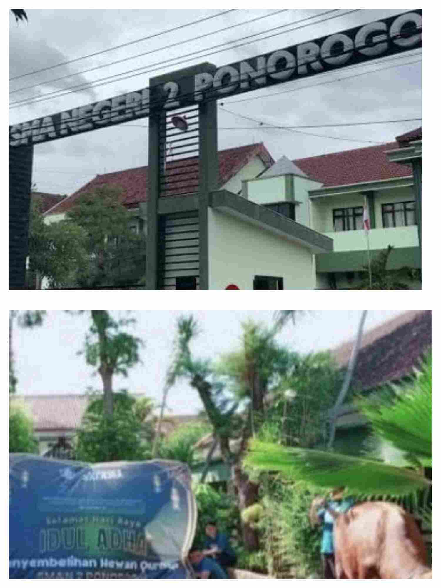 SMA Negeri 2 Ponorogo Gelar Ibadah Kurban Peringati Hari Raya Idul Adha SMA Negeri 2 Ponorogo Gelar Ibadah Kurban Peringati Hari Raya Idul Adha