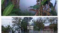 Asap Berbau Gas dari Gudang PT NESR Jadi Perbincangan Warga Selogabus Sejak Pagi