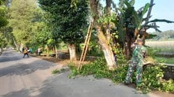 Wujud Kemanunggalan TNI, Babinsa Ngoran Pelopori Gotong Royong Bersihkan Jalan Desa Wujud Kemanunggalan TNI, Babinsa Ngoran Pelopori Gotong Royong Bersihkan Jalan Desa