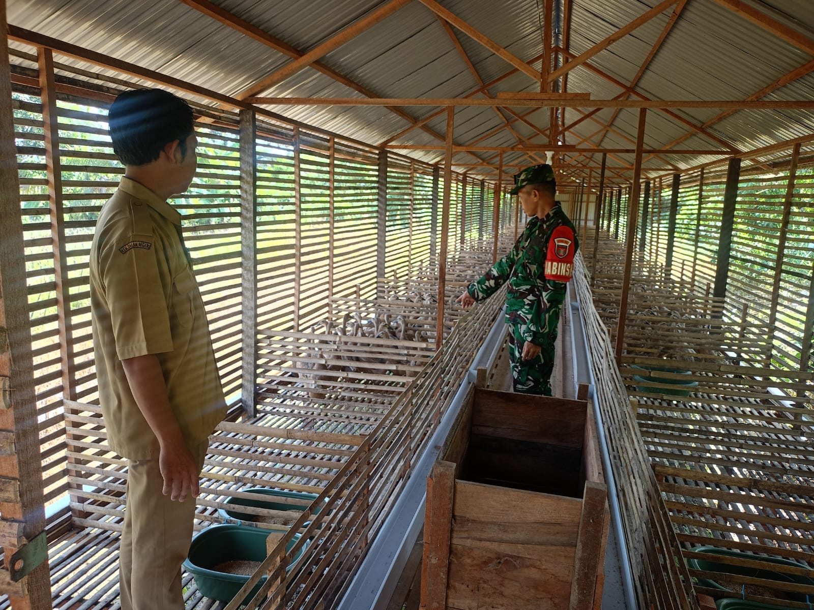 Melalui Komsos, Babinsa Dorong Kemajuan Peternakan Itik Petelur Desa Kasarangan Melalui Komsos, Babinsa Dorong Kemajuan Peternakan Itik Petelur Desa Kasarangan