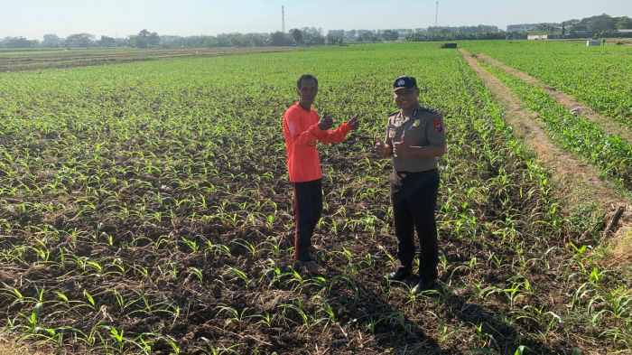 Bhabinkamtibmas Kademangan Dorong Petani Aktif Laporkan Kendala dan Gangguan Keamanan