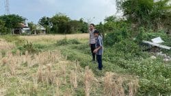 Jaga Produktivitas Pertanian, Kapolsek Tongas Dorong Petani Aktif Berkoordinasi dengan Bhabinkamtibmas