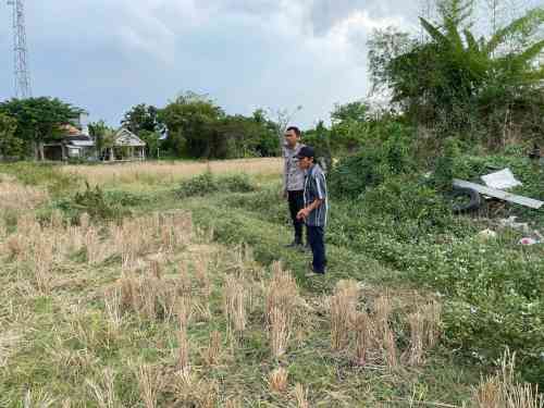 Jaga Produktivitas Pertanian, Kapolsek Tongas Dorong Petani Aktif Berkoordinasi dengan Bhabinkamtibmas Jaga Produktivitas Pertanian, Kapolsek Tongas Dorong Petani Aktif Berkoordinasi dengan Bhabinkamtibmas
