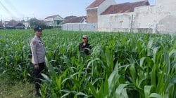 Tak Sekadar Patroli, Polisi Dengarkan Langsung Keluhan Petani di Triwung Kidul