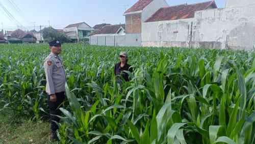 Tak Sekadar Patroli, Polisi Dengarkan Langsung Keluhan Petani di Triwung Kidul