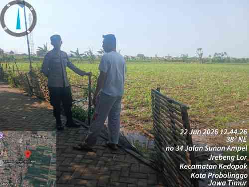 Panen Ditarget 1,5 Ton, Polisi Kawal Perkembangan Jagung Kelompok Tani Pakis Jaya Panen Ditarget 1,5 Ton, Polisi Kawal Perkembangan Jagung Kelompok Tani Pakis Jaya