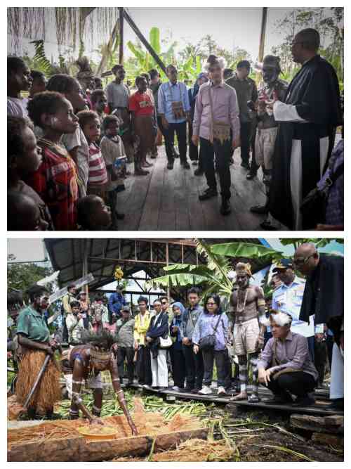 Dukung Hilirisasi Komoditas Unggulan Papua, Wapres Tinjau Sekolah Lapang Sagu Asmat