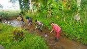 Bersatu dengan Alam, Serda Dwi Aprianto Bersama Warga Slorok Bersihkan Aliran Irigasi Sawah