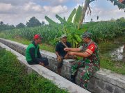 Serap Aspirasi Petani, Sertu Yudhi Rimba Gelar Komsos Ketahanan Pangan Bersama Poktan Kembang Kuning