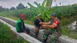 Serap Aspirasi Petani, Sertu Yudhi Rimba Gelar Komsos Ketahanan Pangan Bersama Poktan Kembang Kuning