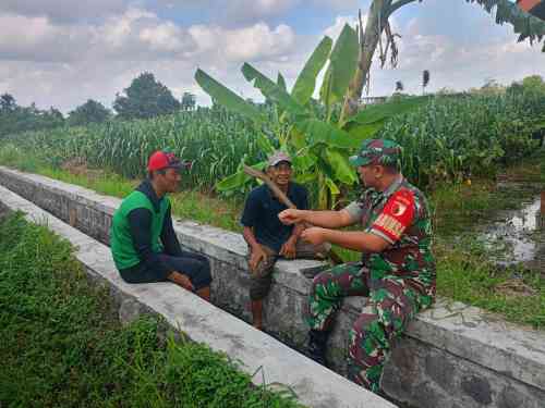 Serap Aspirasi Petani, Sertu Yudhi Rimba Gelar Komsos Ketahanan Pangan Bersama Poktan Kembang Kuning