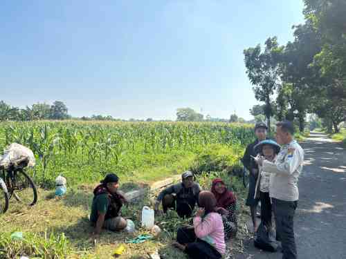 Polsek Wonoasih Perkuat Ketahanan Pangan Lewat Dialog dengan Petani Jagung Polsek Wonoasih Perkuat Ketahanan Pangan Lewat Dialog dengan Petani Jagung