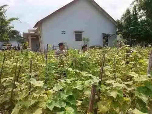 Sinergi Polisi dan Petani di Lumajang, Produktivitas Pertanian Terus Didorong
