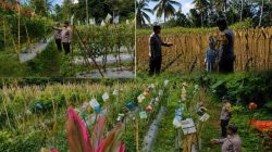 Bhabinkamtibmas Polsek Randuagung Turun ke Ladang, Perkuat Sinergi Petani Dukung Ketahanan Pangan Nasional Bhabinkamtibmas Polsek Randuagung Turun ke Ladang, Perkuat Sinergi Petani Dukung Ketahanan Pangan Nasional