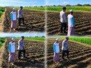 Polsubsektor Kedopok Perkuat Ketahanan Pangan, Tanaman Jagung Petani Jadi Perhatian