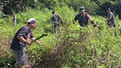 Babinsa Koramil Mapurujaya Bersama Warga Bersihkan TPU Kampung Hiripau Babinsa Koramil Mapurujaya Bersama Warga Bersihkan TPU Kampung Hiripau
