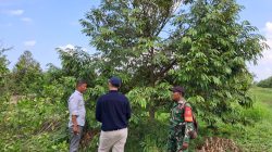 Babinsa Koramil 0908-03/Anggana Perkuat Ketahanan Pangan Melalui Komsos Bersama Petani Durian Babinsa Koramil 0908-03/Anggana Perkuat Ketahanan Pangan Melalui Komsos Bersama Petani Durian