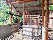 Tak Kenal Lelah! Prajurit TMMD Ke-129 Kodim 1807/Sorong Selatan Kebut Pembangunan Rumah Warga Demi Wujudkan Hunian Layak