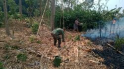 Aksi Cepat Babinsa Posramil Selopuro Bersama Warga Padamkan Kebakaran Lahan Bambu Di Blitar