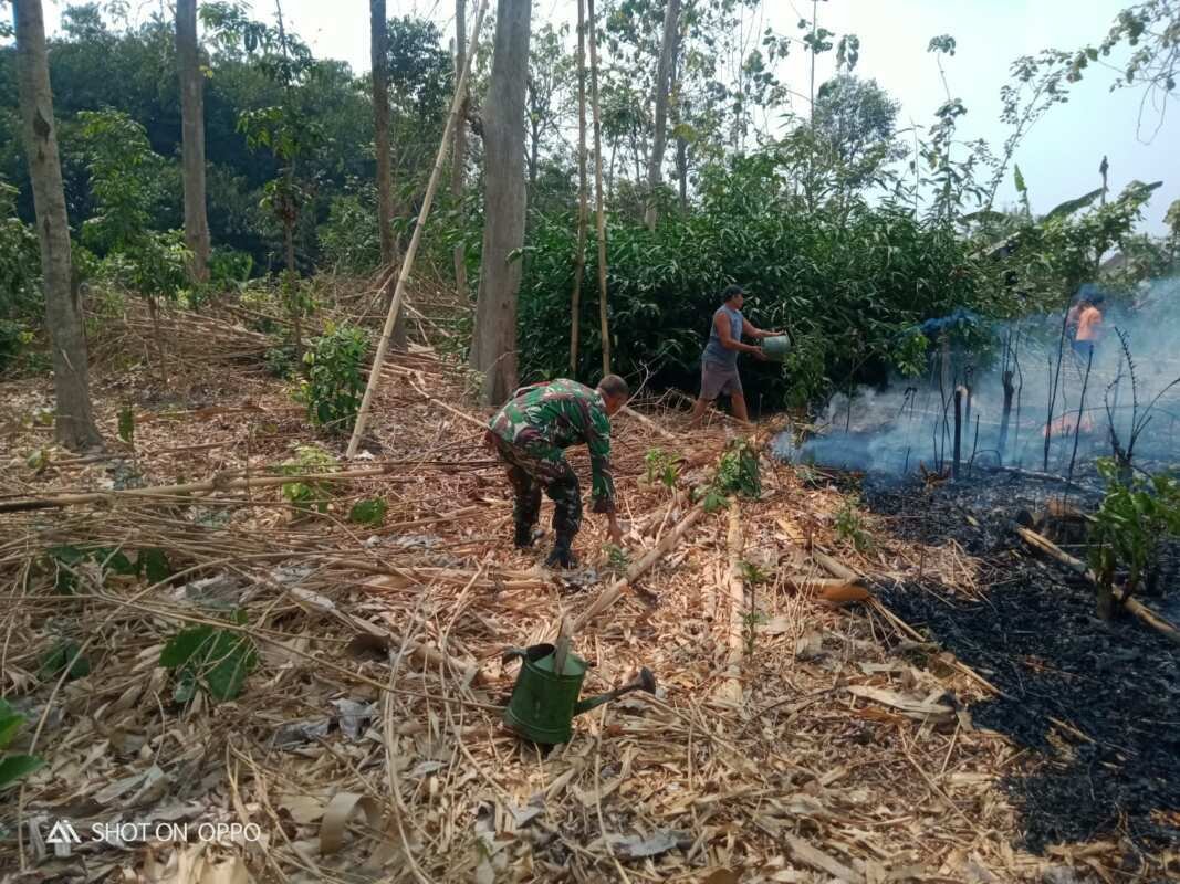 Aksi Cepat Babinsa Posramil Selopuro Bersama Warga Padamkan Kebakaran Lahan Bambu Di Blitar