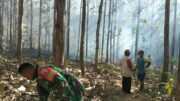 Tanggap Pancaroba, Babinsa Koramil Sutojayan Bersama Warga Padamkan Karhutla Di Gunung Sumber