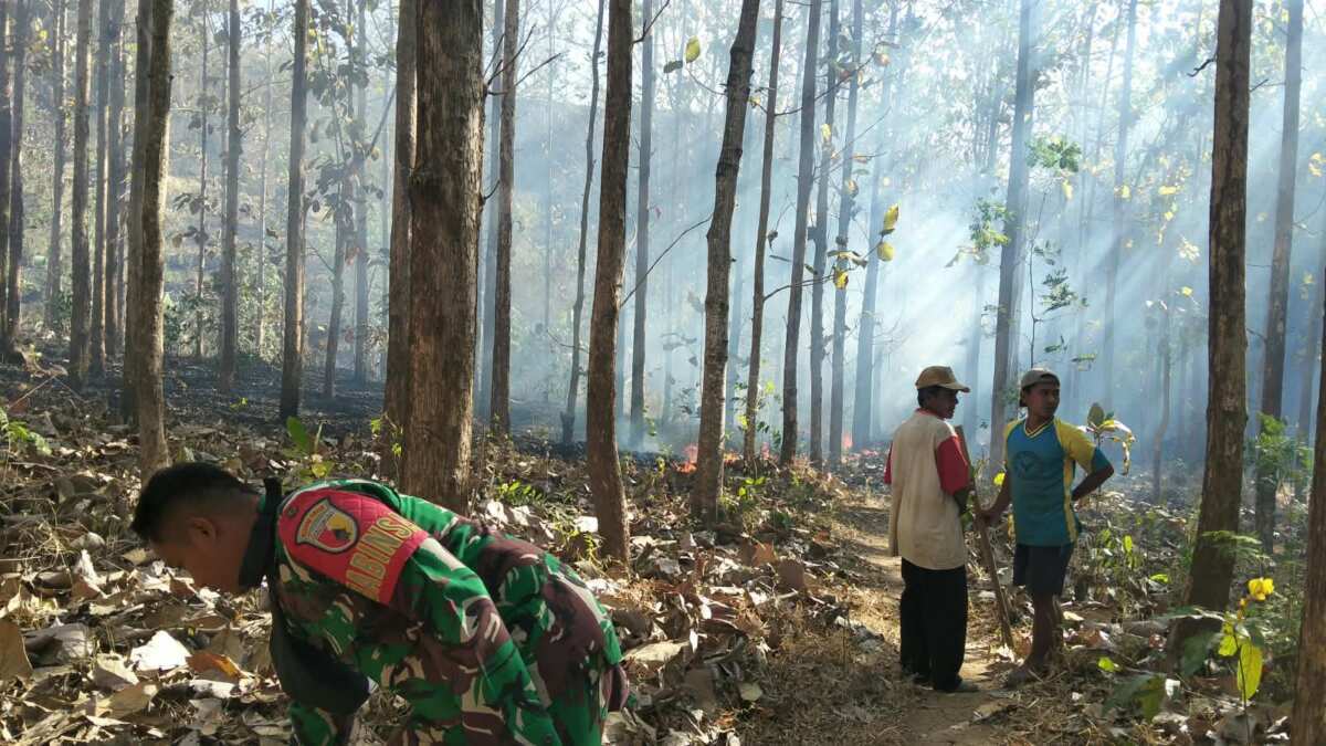 Tanggap Pancaroba, Babinsa Koramil Sutojayan Bersama Warga Padamkan Karhutla Di Gunung Sumber