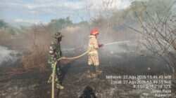 Kebakaran Lahan Penyimpanan Kendaraan PT Moderna Teknik Perkasa Di Talun Berhasil Dipadamkan, Korban Jiwa Nihil