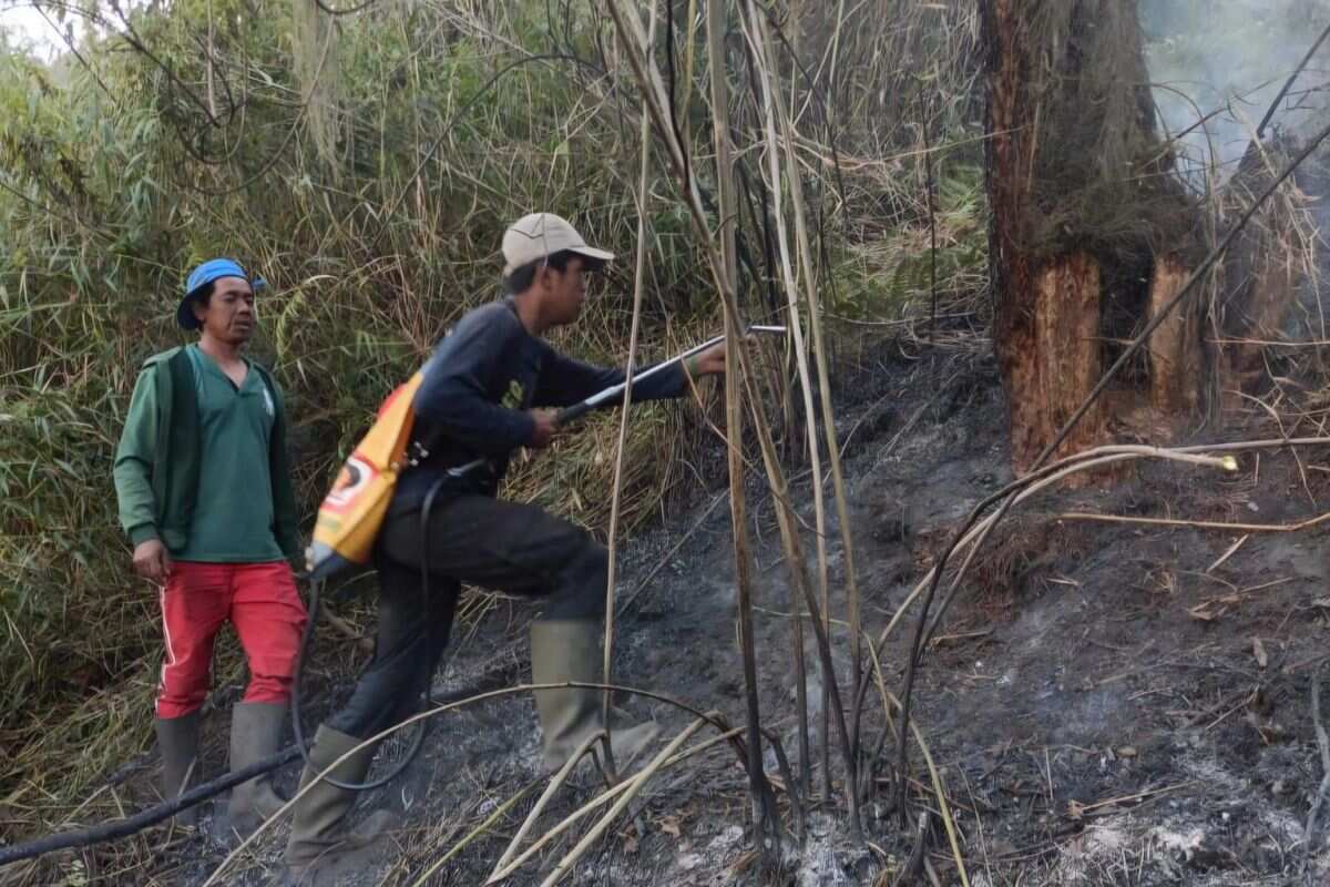 Penutupan Jalur Pendakian Gunung Semeru Setelah Kebakaran Hutan