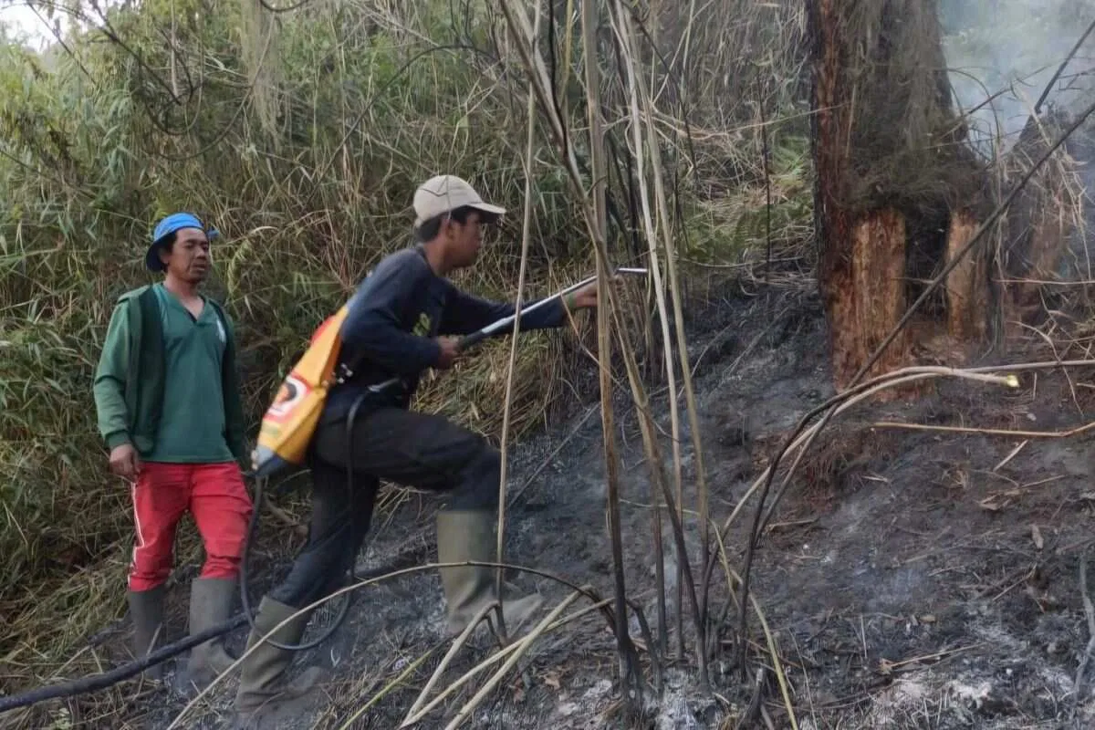 Penutupan Jalur Pendakian Gunung Semeru Setelah Kebakaran Hutan