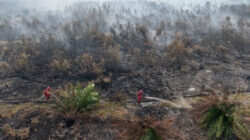 Pemberantasan Kebakaran Hutan di Ogan Komering Ilir
