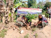 Bangun Jalan Sekaligus Hijaukan Desa, Satgas TMMD Kodim 1002/HST Tanam 100 Bibit Pohon
