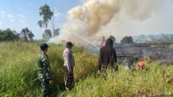 Babinsa Bersama Tim Gabungan Berjibaku Padamkan Karhutla di Desa Binturu Babinsa Bersama Tim Gabungan Berjibaku Padamkan Karhutla di Desa Binturu