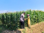 Polisi Sambangi Petani di Jrebeng Wetan, Dukung Program Ketahanan Pangan