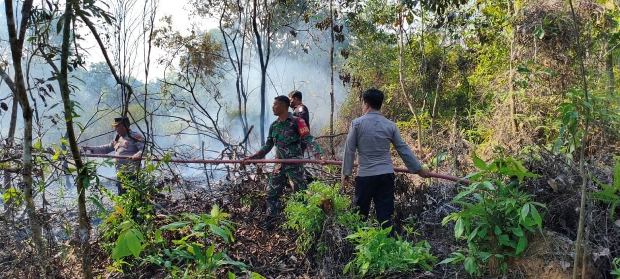 Api Cepat Menjalar, Babinsa dan Tim Gabungan Jinakkan Karhutla di Maburai