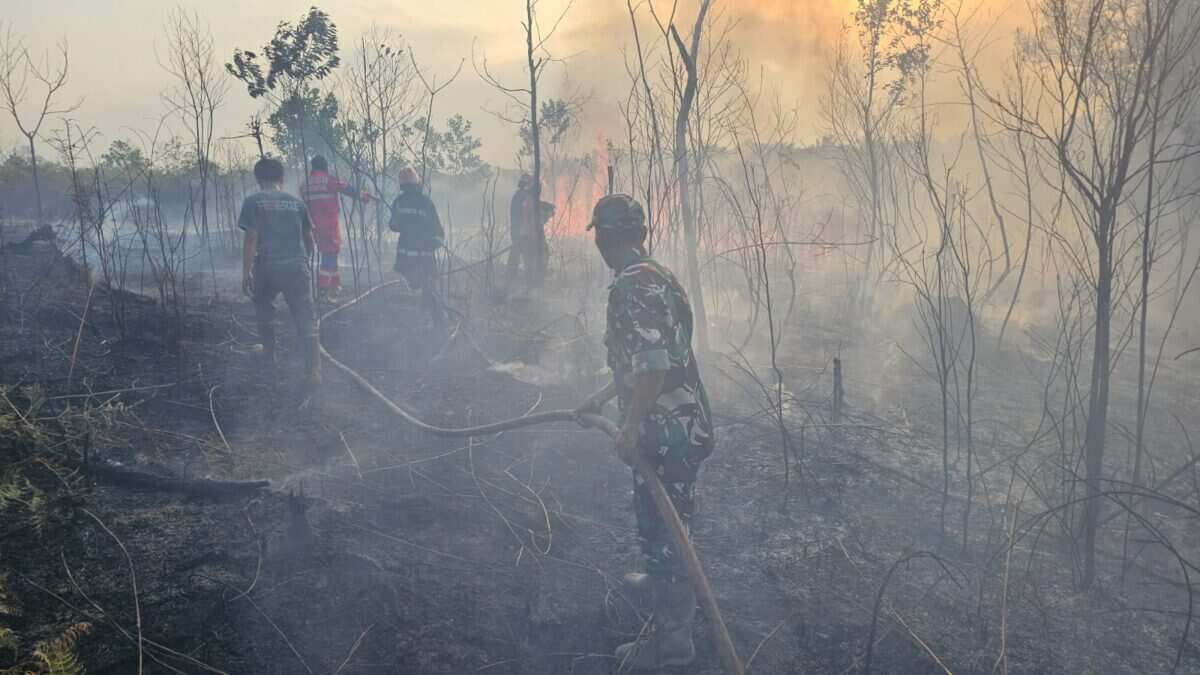 Gerak Cepat Babinsa Koramil 0908-02/Muara Badak Bersama Damkar, Karhutla di Desa Tanjung Limau Berhasil Dipadamkan Gerak Cepat Babinsa Koramil 0908-02/Muara Badak Bersama Damkar, Karhutla di Desa Tanjung Limau Berhasil Dipadamkan