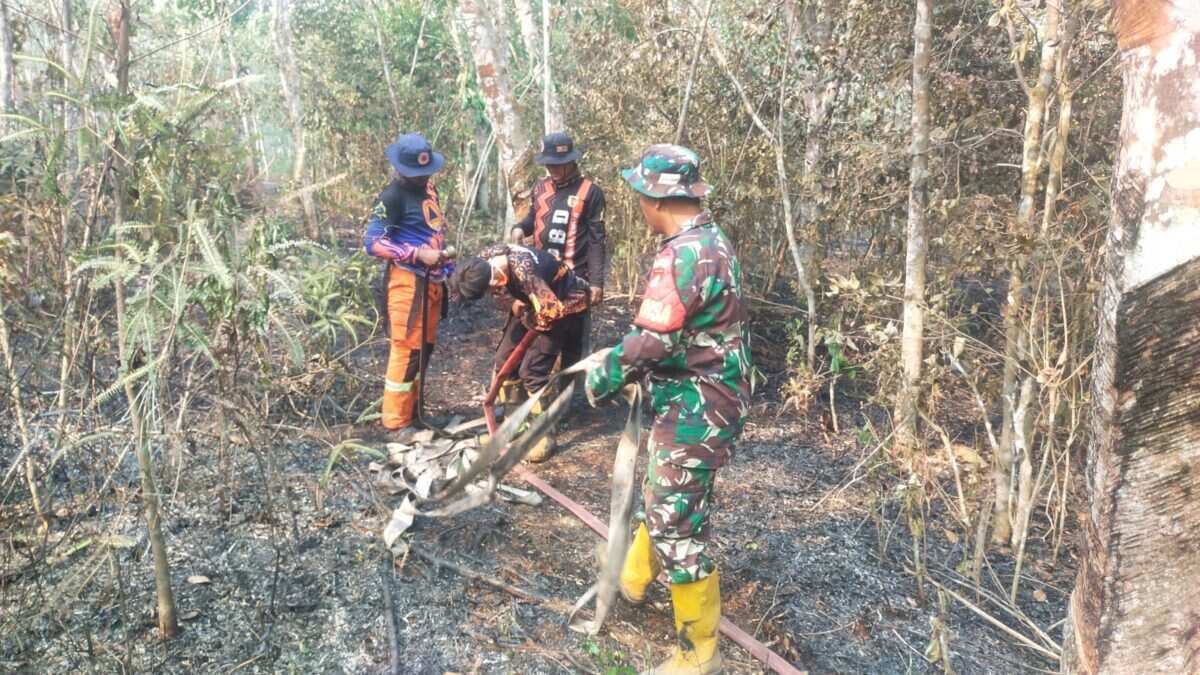 Babinsa dan Relawan Berjibaku Padamkan Karhutla di HST