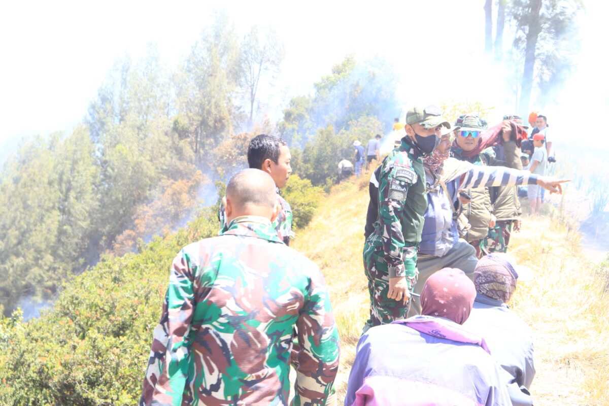 Dandim 0820/Probolinggo Letkol Inf Ribut Yodo Apriantono Pimpin Langsung Pemadaman Karhutla Di Area Gunung Bromo