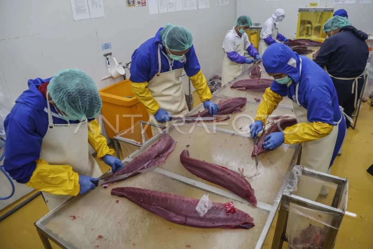 Meningkatkan Kualitas Produk Tuna Melalui Sertifikasi Pekerja