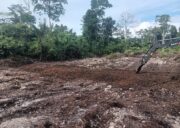 TMMD Ke-129 Tuntaskan Pembukaan Lahan 1 Hektar, Siap Ditanami untuk Perkuat Ketahanan Pangan Kampung Sesor