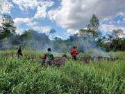 TNI Kerahkan 14.167 Personel Tangani Karhutla di Sejumlah Wilayah