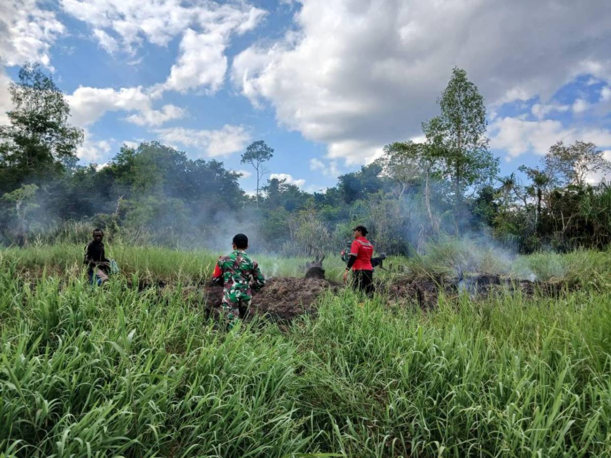 TNI Kerahkan 14.167 Personel Tangani Karhutla di Sejumlah Wilayah