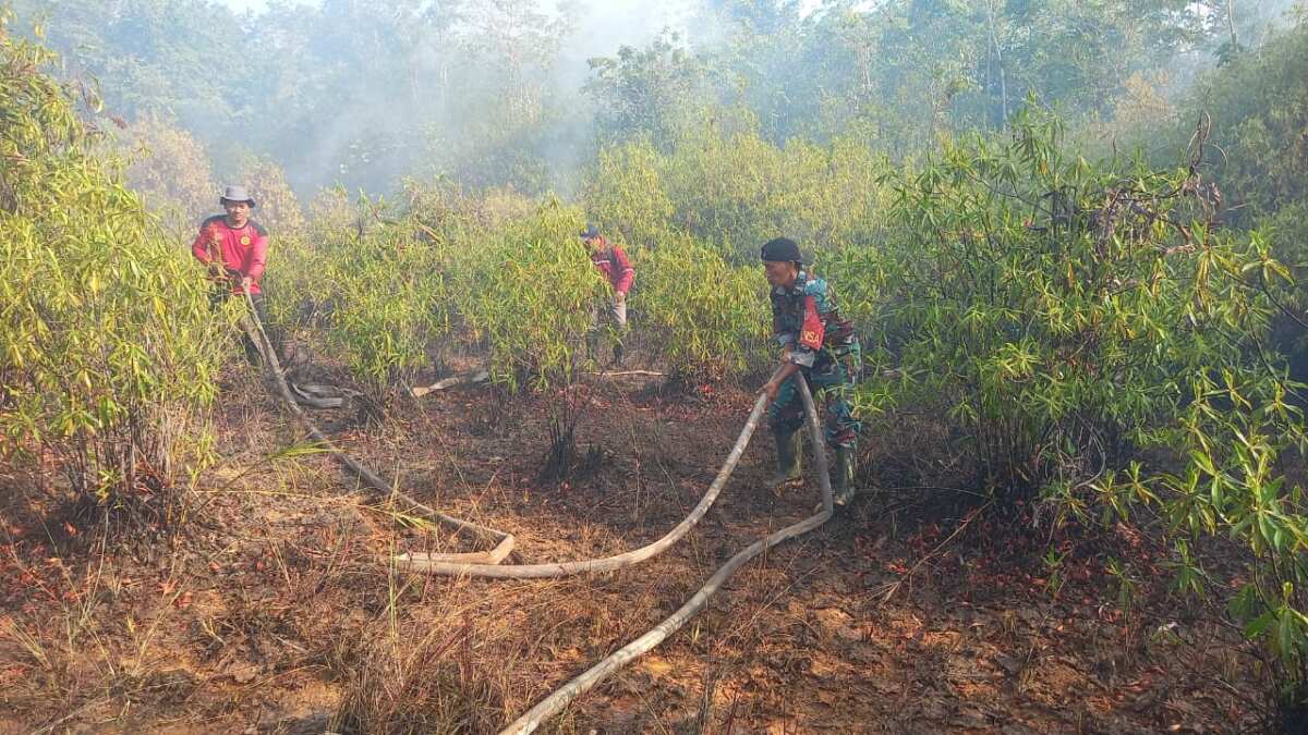 Kolaborasi TNI-Damkar dan Warga, Karhutla Berhasil Di Padamkan Kolaborasi TNI-Damkar dan Warga, Karhutla Berhasil Di Padamkan