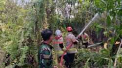 Gerak Cepat Babinsa Koramil 0908-01/Loktuan Bersama Damkar Padamkan Karhutla  Di Kelurahan Bontang Lestari